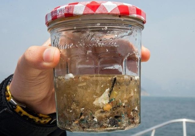 如果知道海洋中的塑料垃圾會進入人類肚子，你還會丟嗎？