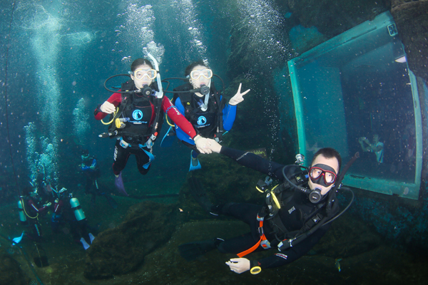 12/12正式上線！PADI 最新課程【休閑潛水員Resort Diver】 丨 一天拿證，潛遍全球