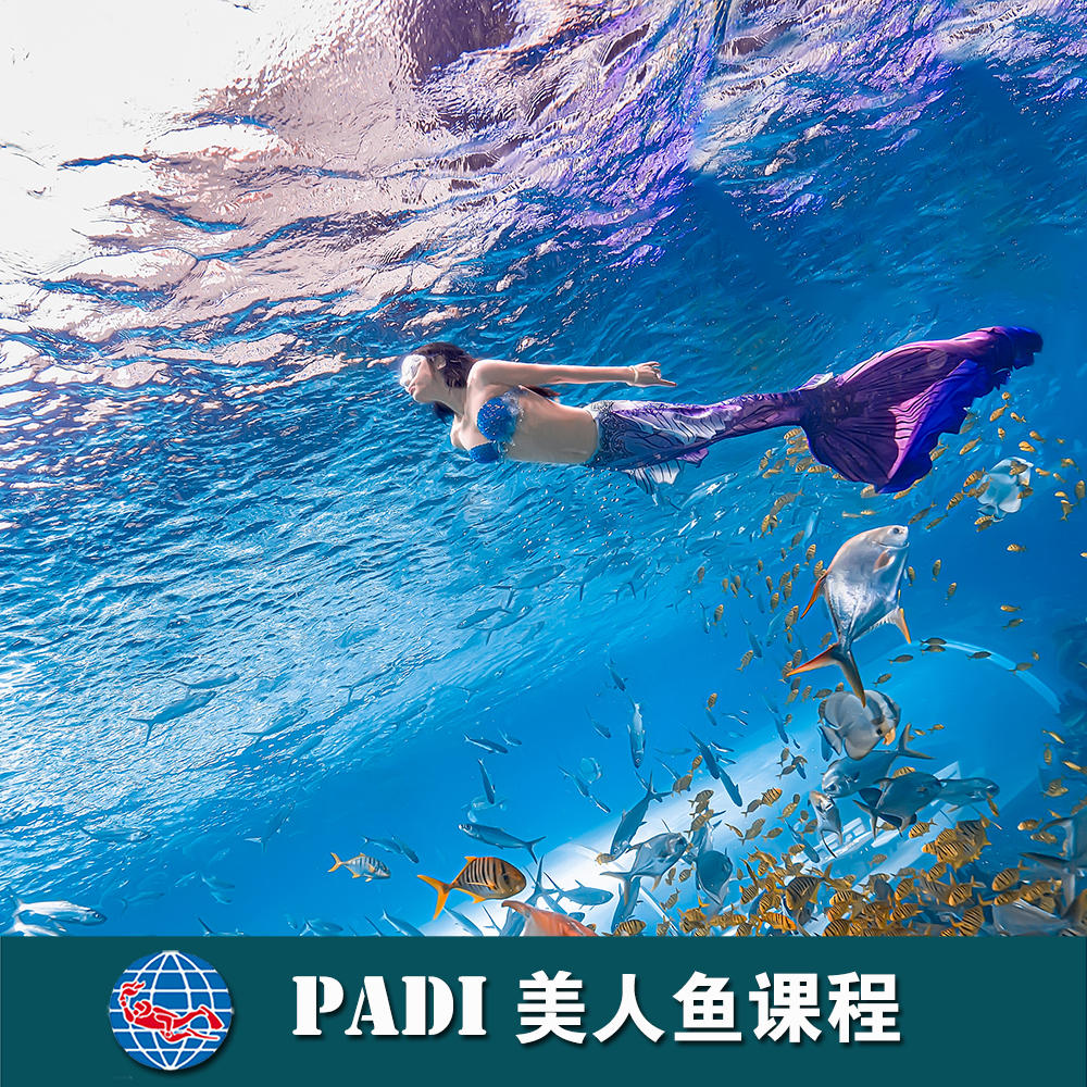 三亞洲際酒店PADI 美人魚課程